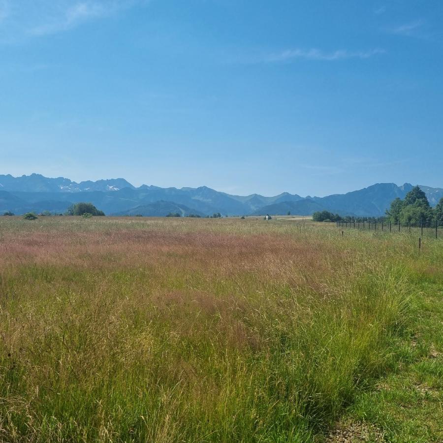 Domek Zakopane Tatrzanski Kacik Apartzakop Exterior photo